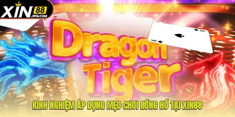 Kinh nghiệm áp dụng mẹo chơi rồng hổ tại Xin88